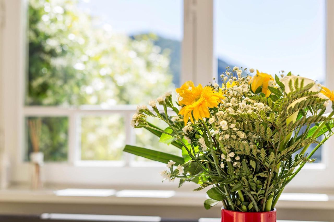 Garden Vista Lago Como Ngoại thất bức ảnh